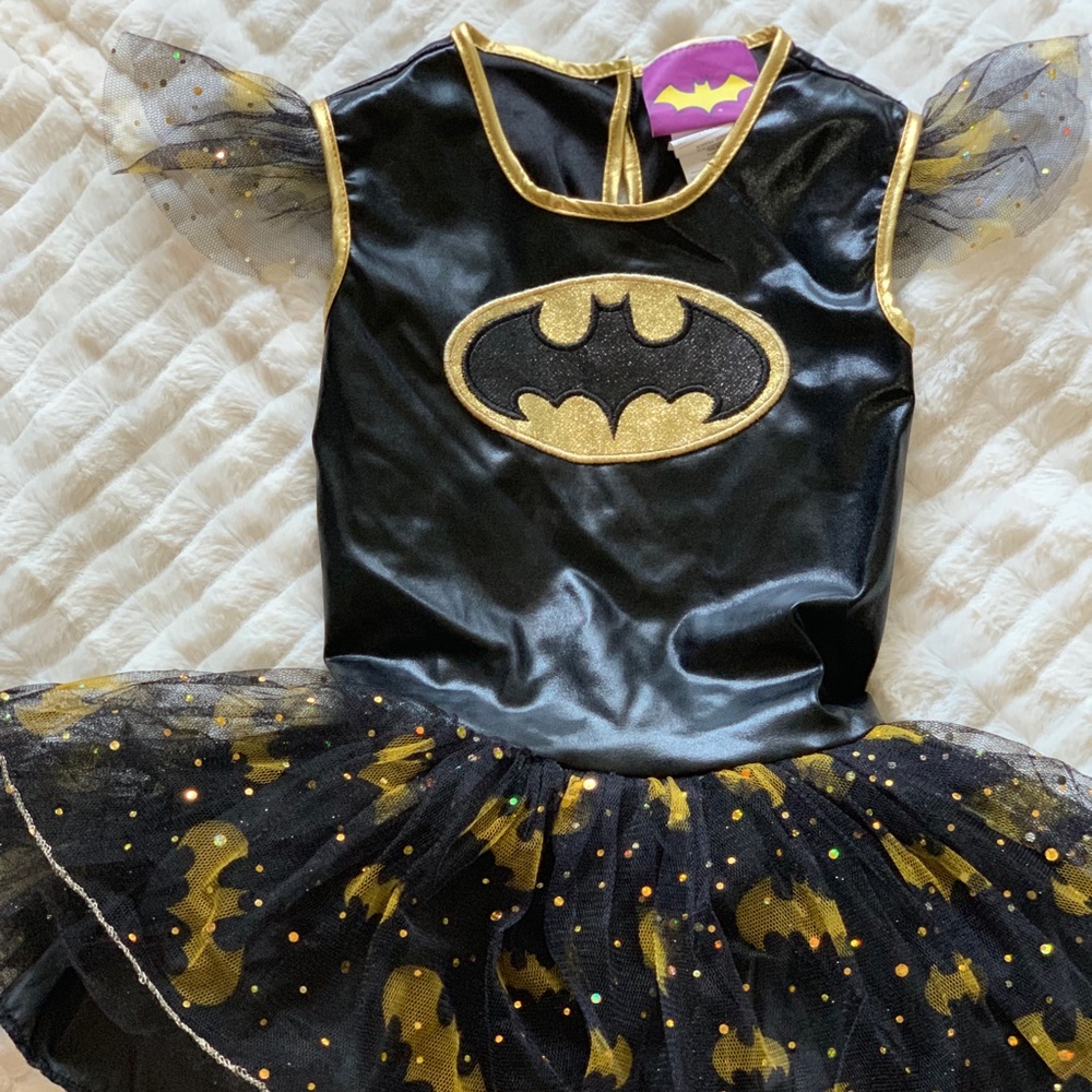 Batgirl Dress up costume
